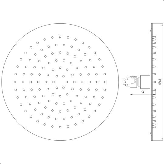 Душова лійка Globus Lux STS-0250