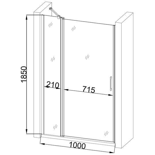 Душові двері PASLENKA 100TC (100T) BRAVO (1уп.)