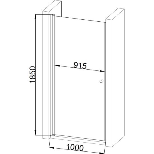 Душові двері PROSNA 100TCW.Line (100W.Line) BRAVO (1уп.)